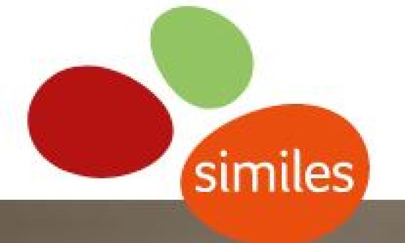 Logo Similes